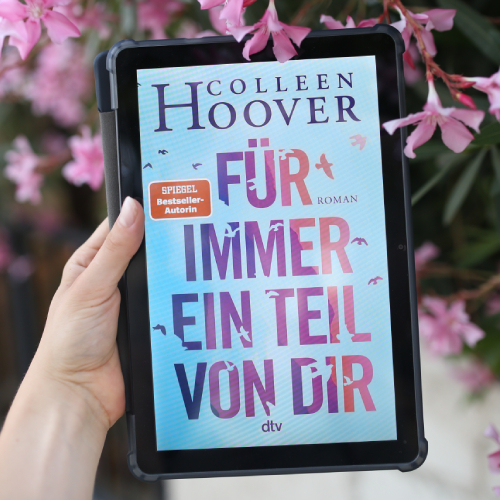 colleen hoover kritik