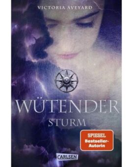 Wütender Sturm / Die Farben des Blutes Bd.4 - Preis